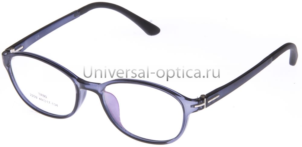 Оправа полимерная (TR-T) 2209 c. 18 от Торгового дома Универсал || universal-optica.ru