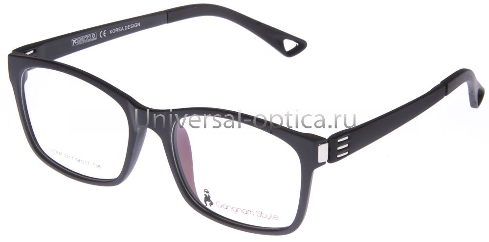 Оправа полимерная (TR-T) 2217 c. 2 от Торгового дома Универсал || universal-optica.ru