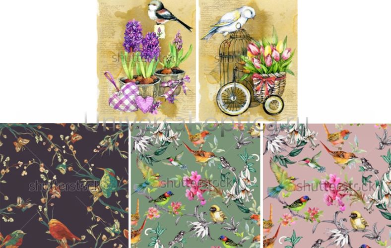 Салфетка из MF "УНИВЕРСАЛ" в индивидуальной упаковке (5шт.) Птицы-1 (15*18см) Китай картинка от Торгового дома Универсал || universal-optica.ru Салфетка из MF "УНИВЕРСАЛ" в индивидуальной упаковке (5шт.) Птицы-1 (15*18см) Китай от Торгового дома Универсал || universal-optica.ru