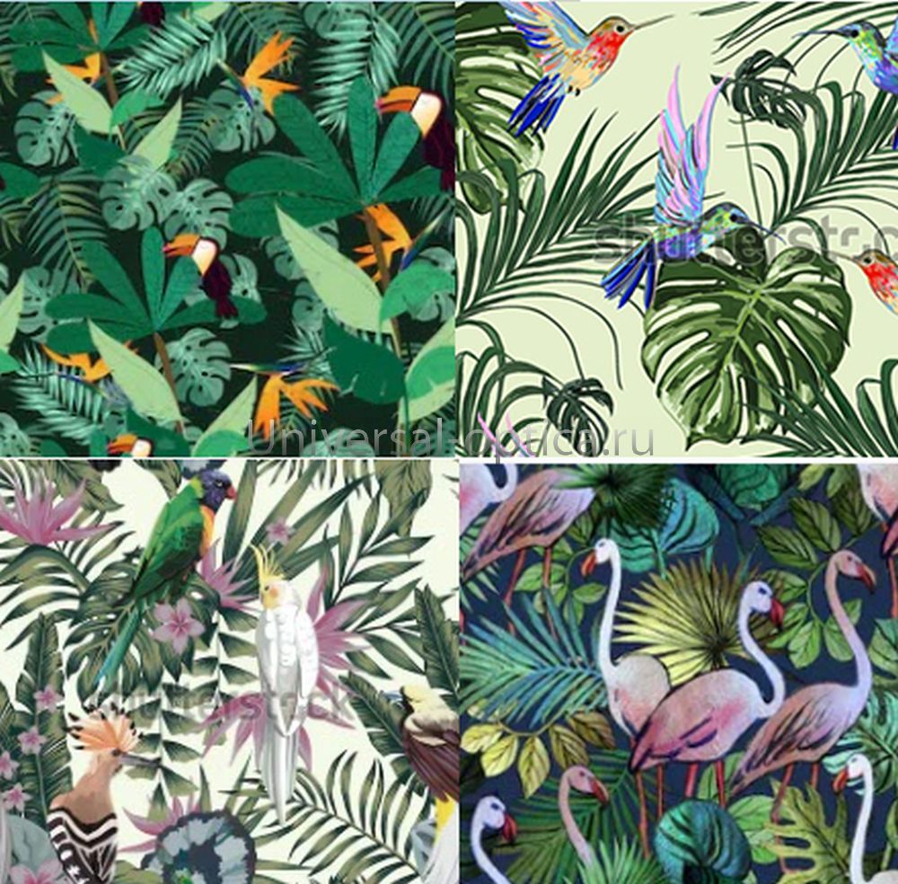 Салфетка из MF "УНИВЕРСАЛ" в индивидуальной упаковке (4шт.) Птицы в джунглях (15*18см) Китай картинка от Торгового дома Универсал || universal-optica.ru Салфетка из MF "УНИВЕРСАЛ" в индивидуальной упаковке (4шт.) Птицы в джунглях (15*18см) Китай от Торгового дома Универсал || universal-optica.ru