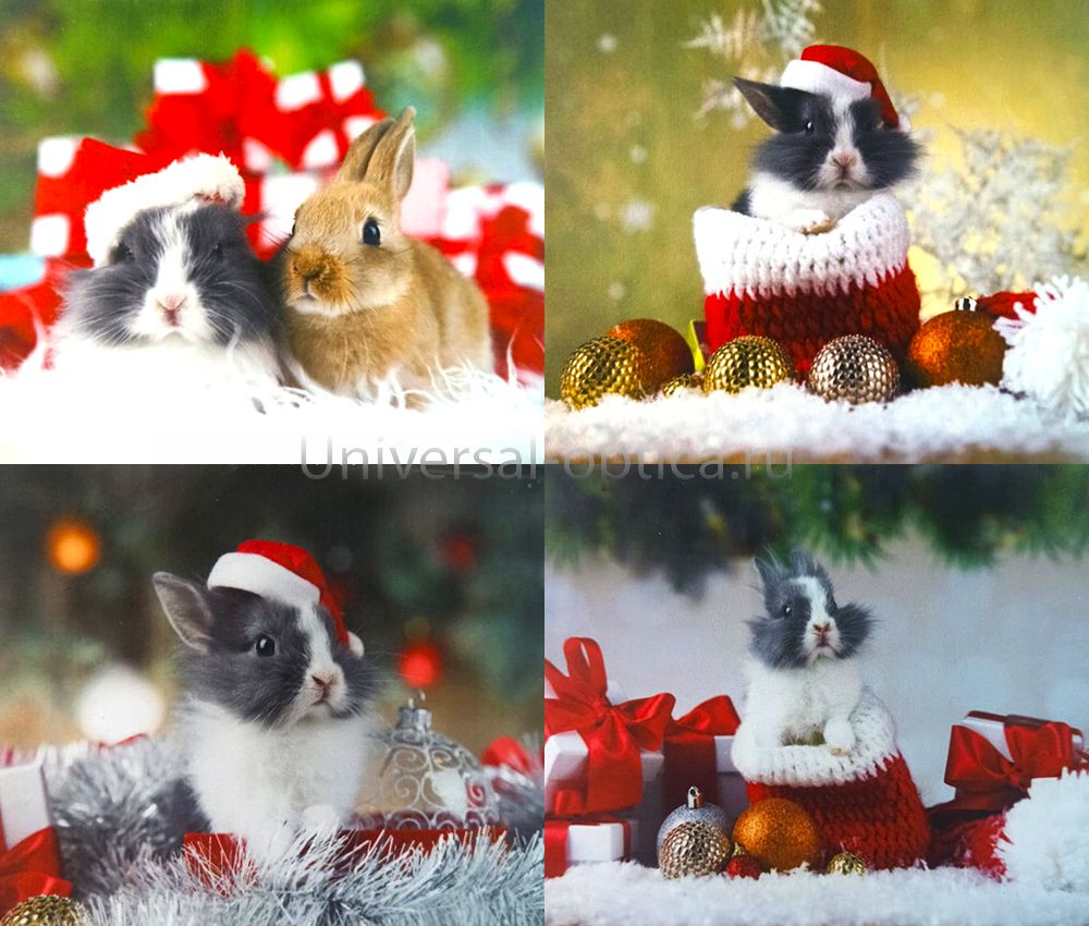 Салфетка из MF "УНИВЕРСАЛ" в индивидуальной упаковке (4шт.) Зайцы-4 (15*18см) Китай от Торгового дома Универсал || universal-optica.ru