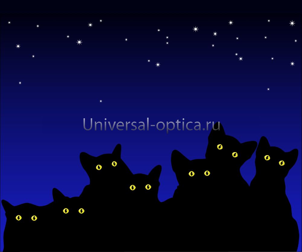 Салфетка из MF "УНИВЕРСАЛ" в индивидуальной упаковке (4шт.) Кошачий вальс (15*18см) Китай от Торгового дома Универсал || universal-optica.ru