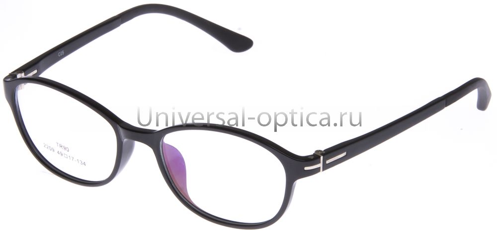Оправа полимерная (TR-T) 2209 col. 5 от Торгового дома Универсал || universal-optica.ru