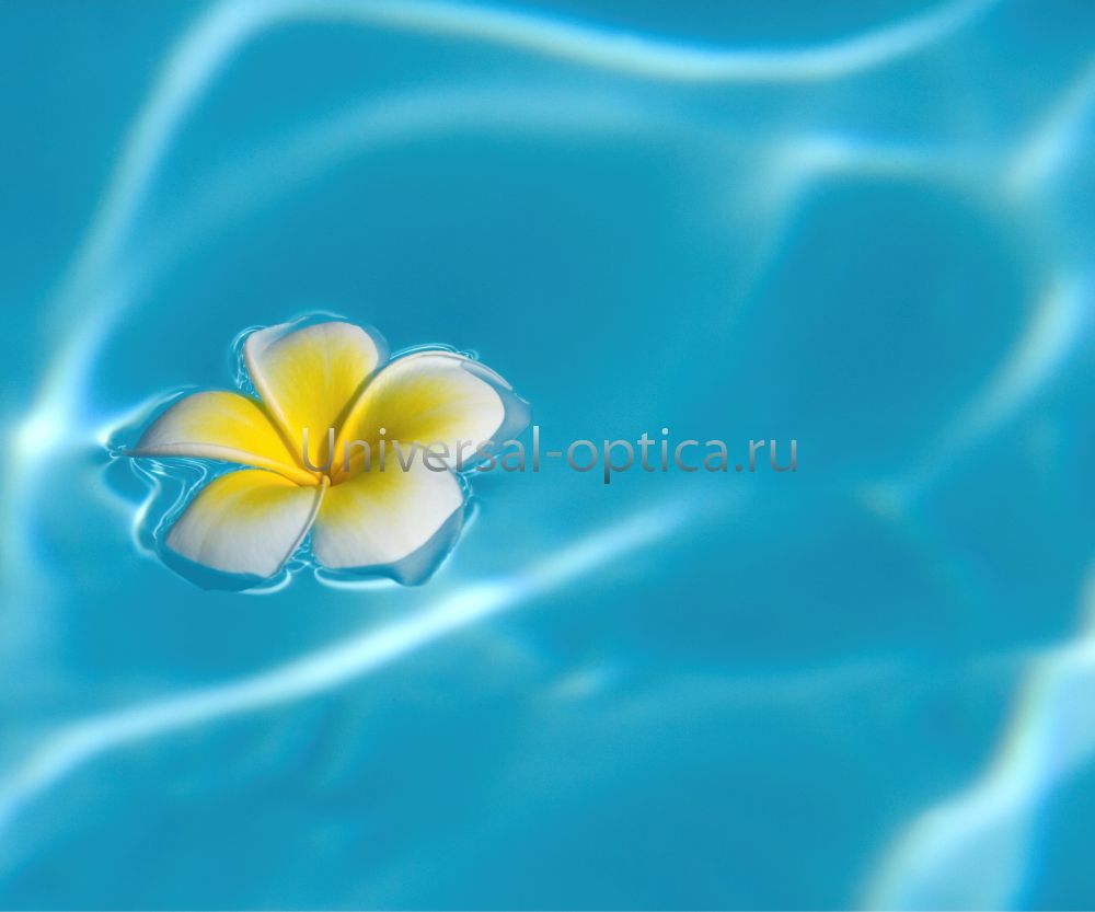 Салфетка из MF "УНИВЕРСАЛ" в индивидуальной упаковке (4шт.) Плавающий цветок (15*18см) Китай картинка от Торгового дома Универсал || universal-optica.ru Салфетка из MF "УНИВЕРСАЛ" в индивидуальной упаковке (4шт.) Плавающий цветок (15*18см) Китай от Торгового дома Универсал || universal-optica.ru