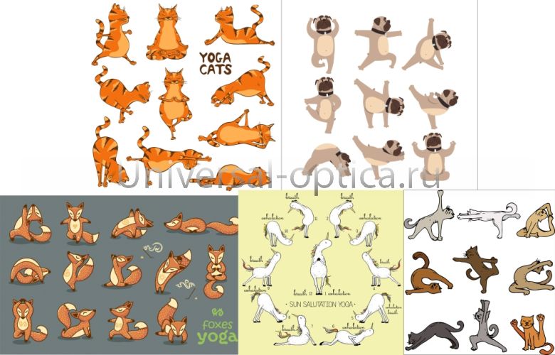 Салфетка из MF "УНИВЕРСАЛ" в индивидуальной упаковке (5шт.) Йога-2 (18*18см) Китай картинка от Торгового дома Универсал || universal-optica.ru Салфетка из MF "УНИВЕРСАЛ" в индивидуальной упаковке (5шт.) Йога-2 (18*18см) Китай от Торгового дома Универсал || universal-optica.ru