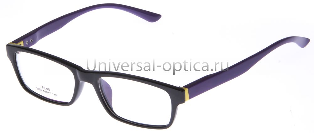 Оправа полимерная (TR-T) 2901 col. 5 от Торгового дома Универсал || universal-optica.ru