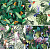 Салфетка из MF "УНИВЕРСАЛ" в ИУ (4шт.) Птицы в джунглях (15*18см) Китай от Торгового дома Универсал || universal-optica.ru