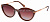 24735-PL солнцезащитные очки Elite (col. 2/1)
